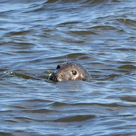 Bike W Sztutowie * Sztutowo