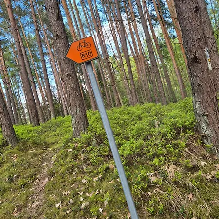 Apartament Bike W Sztutowie