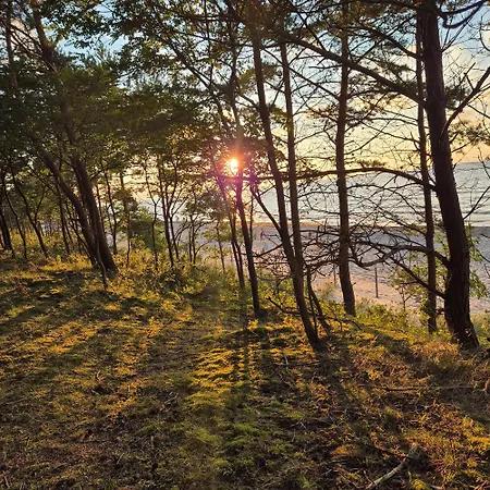 Bike W Sztutowie Apartament Sztutowo