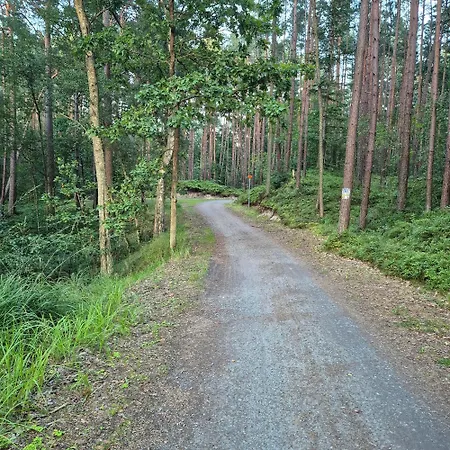 Bike W Sztutowie Apartament *