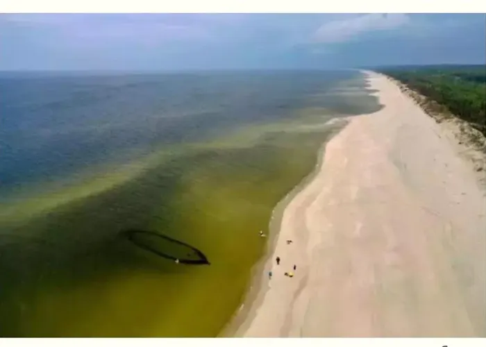 Bike W Sztutowie Sztutowo