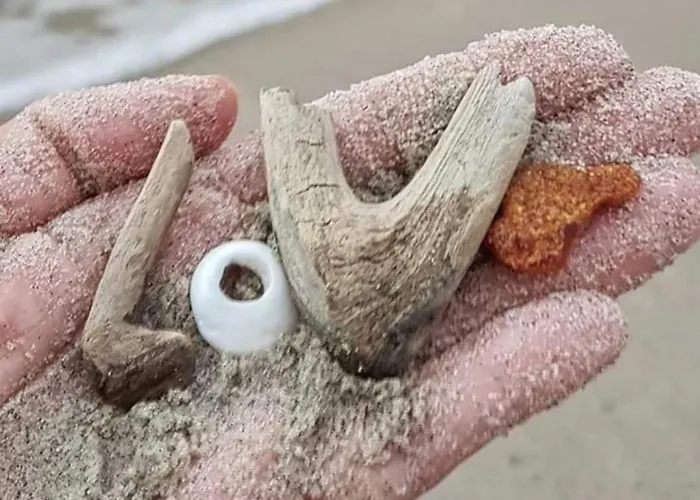 Apartament Bike W Sztutowie *