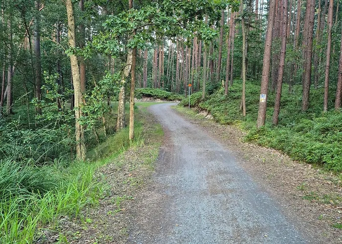 Bike W Sztutowie Apartament *