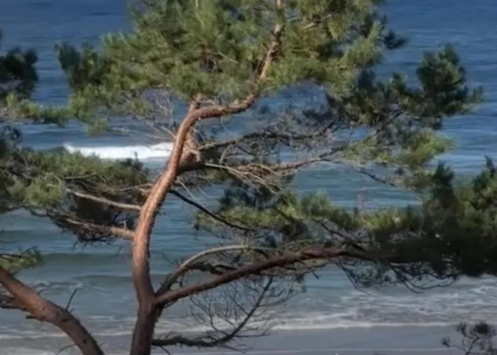 Apartament Bike W Sztutowie